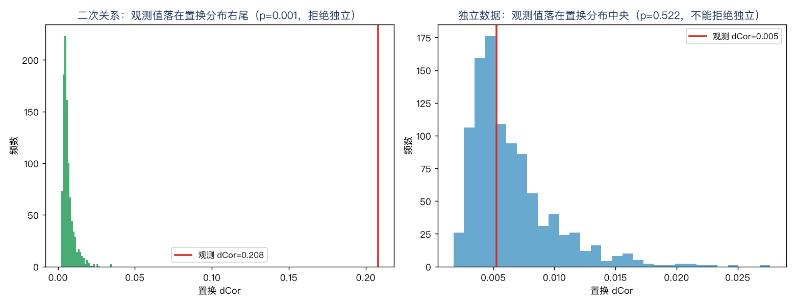 置换检验：二次关系的观测 dCor 落在右尾（拒绝独立），独立数据的观测值落在中央（不能拒绝）