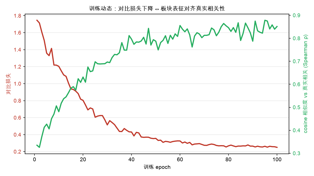 训练动态：对比损失(红)下降同时，表征质量(绿, Spearman ρ)上升，二者同频