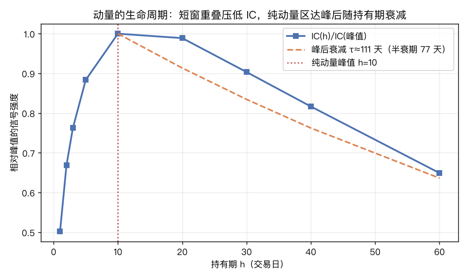 归一化到峰值的信号生命周期：峰值在 h=10，之后以约 77 天半衰期滚动衰减