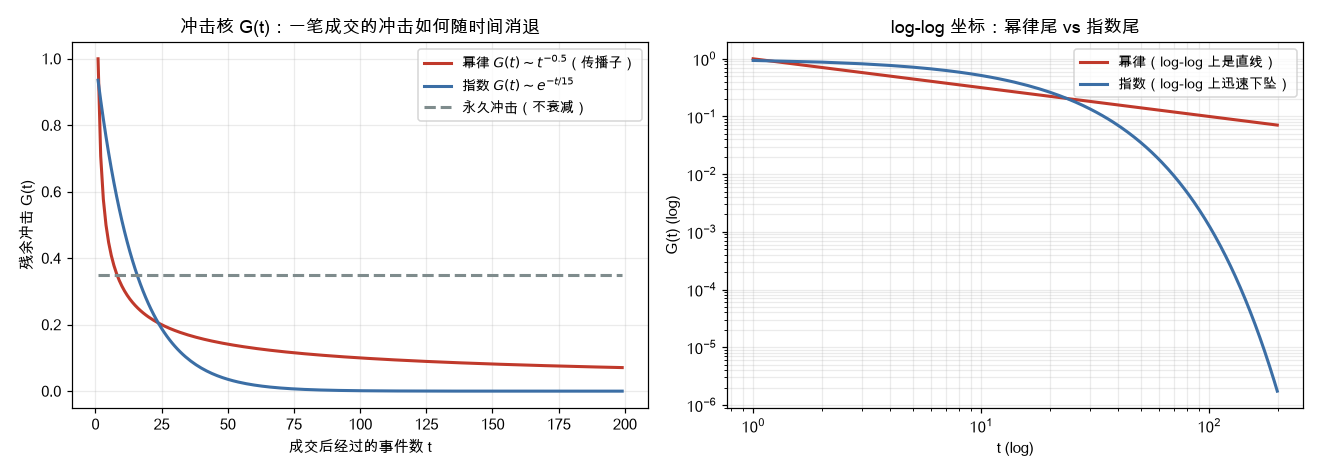 冲击核 G(t)：幂律衰减 vs 指数衰减 vs 永久冲击
